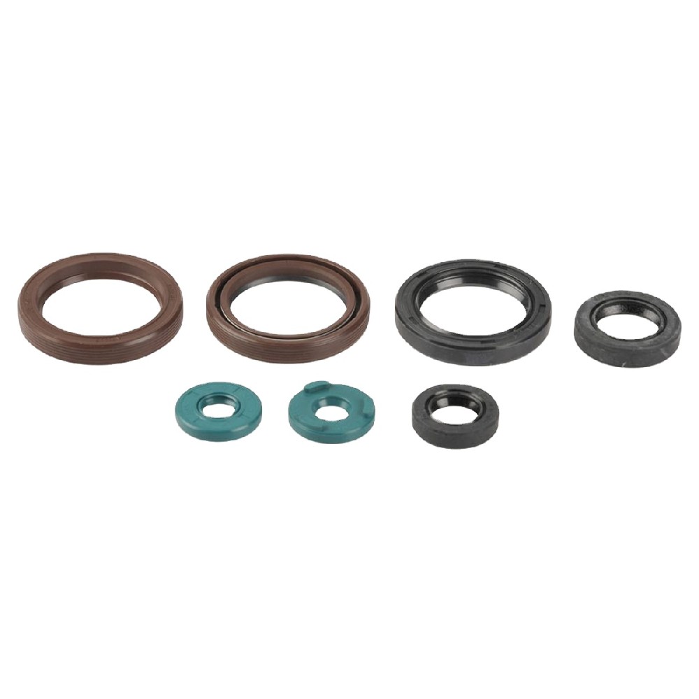 OEM HYD. SEAL KIT 2442059 for D8R
