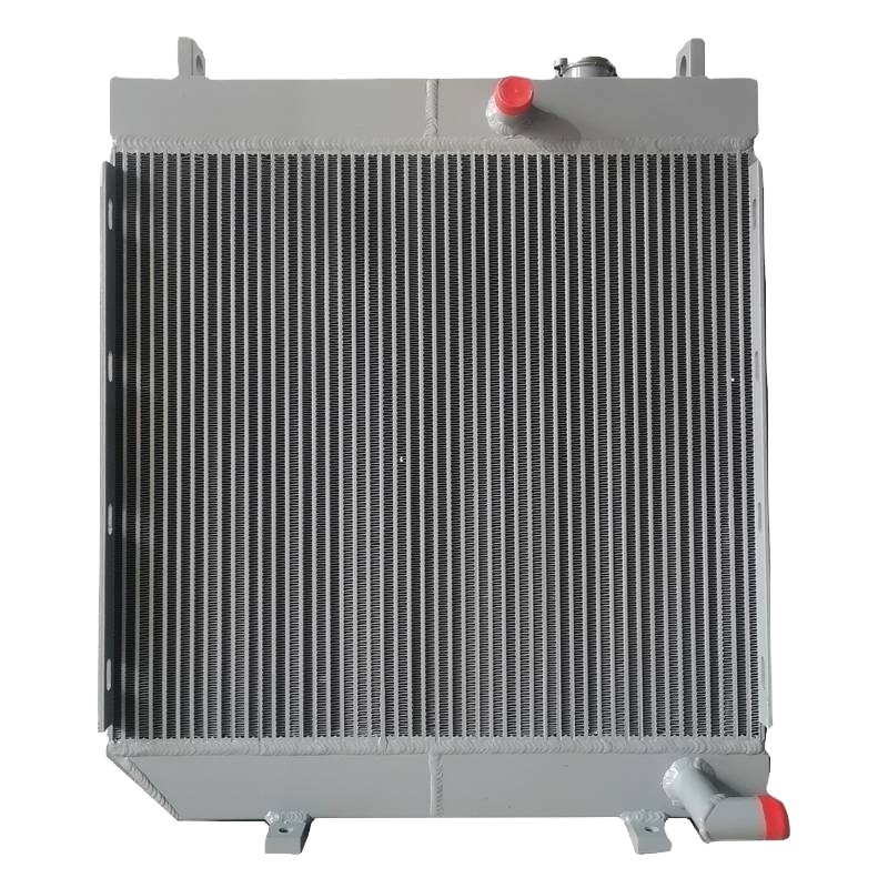 Original CORE AS-RADIATOR 2095494 for D9R